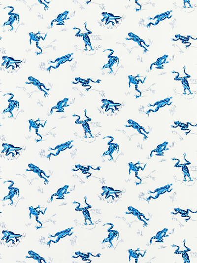 Scalamandre: Calabasas County Outdoor SC 0002 16426M Creek