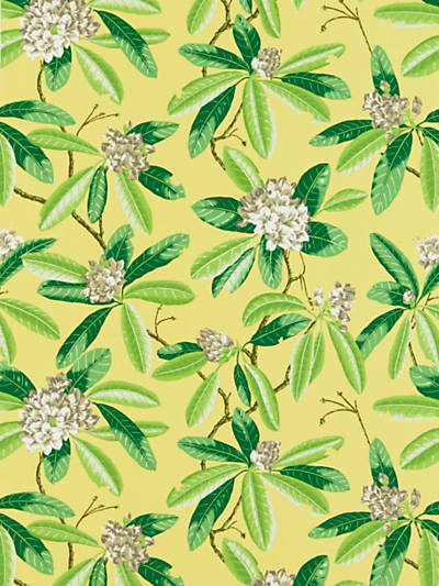 Scalamandre: Rhododendron Outdoor SC 0002 16454M Pineapple