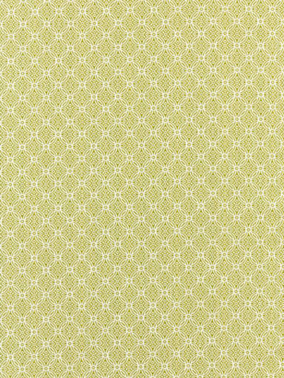 Scalamandre: Cape May Outdoor SC 0002 27317 Key Lime