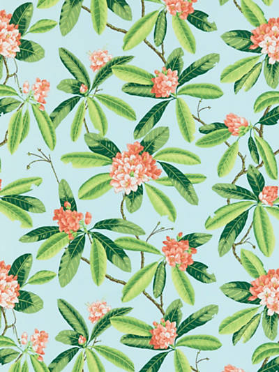 Scalamandre: Rhododendron Outdoor SC 0003 16454M Coral on Aqua