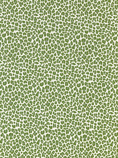 Scalamandre: Backyard Bengal Outdoor SC 0003 27316 Ivy