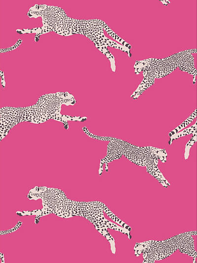 Scalamandre: Leaping Cheetah SC 0003 WP88449 Bubblegum