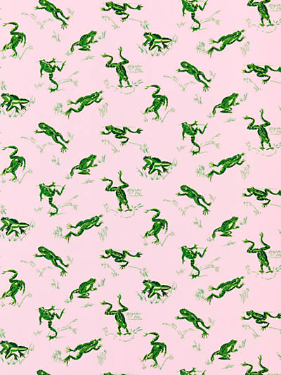 Scalamandre: Calabasas County Outdoor SC 0004 16426M Camelia