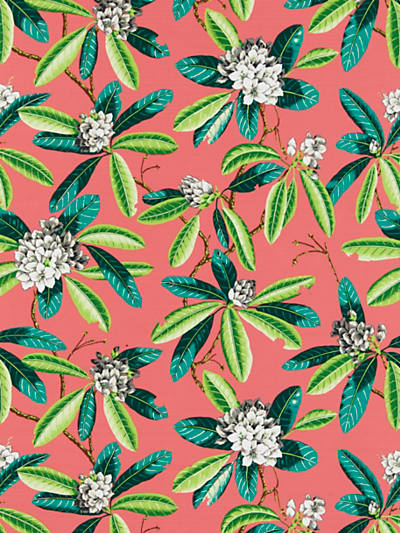 Scalamandre: Rhododendron Outdoor SC 0005 16454M Flamingo