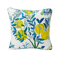 Schumacher: Citrus Garden 22” Pillow SO17576106 Pool
