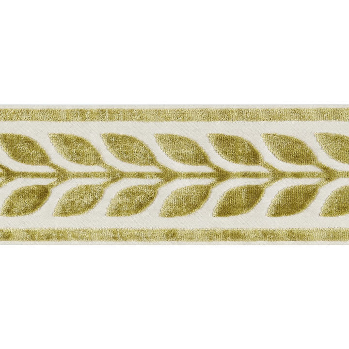Scalamandre: Vigne Velvet Tape SC 0001 T3278 Vert
