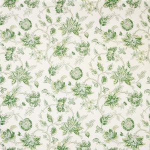 Kravet: Tiru Vine TIRU VINE.3.0 Arbor