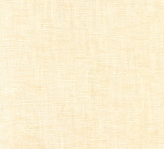 Old World Weavers for Scalamandre: Supreme Velvet VP 0712 SUPR Falcon