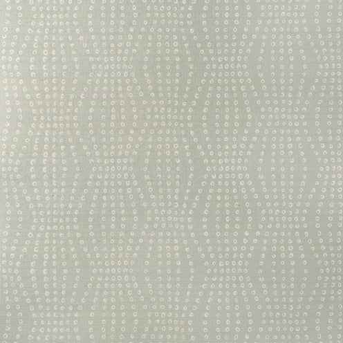 Linherr Hollingsworth for Kravet: Puka WP W3572.11.0 Mist