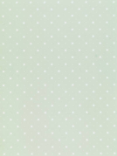 Hinson for Scalamandre: Trixie WHN 00WG P1003 White on Pale Green