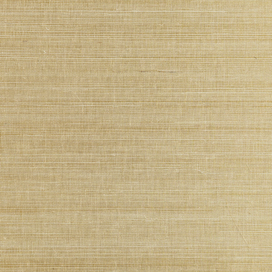 Scalamandre: Metal Sisal SC 0001 WP88338 White Gold