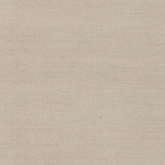 Scalamandre: Fine Sisal SC 0003 WP88341 Pebble