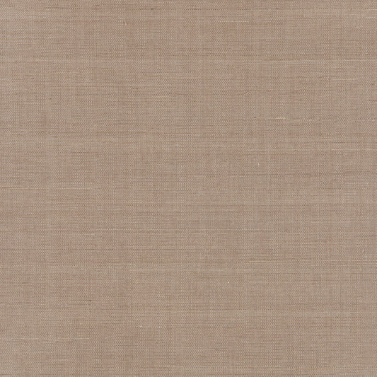 Scalamandre: Fine Sisal SC 0004 WP88341 Fawn