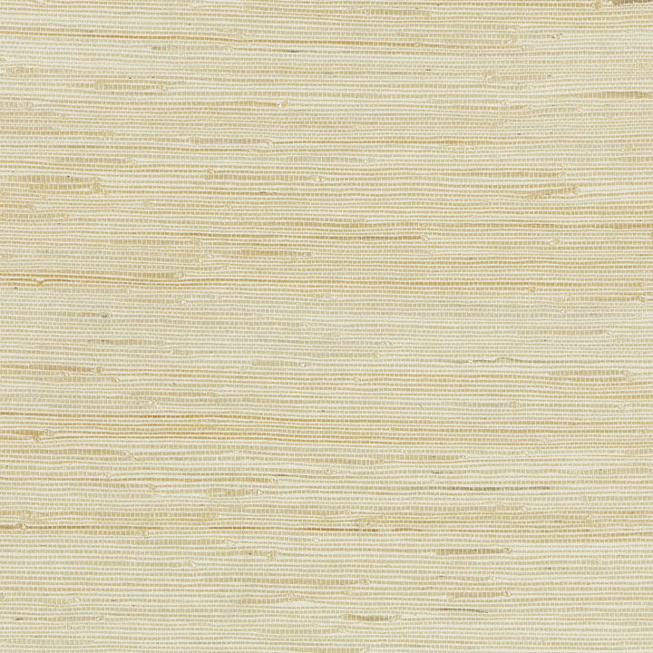 Scalamandre: Textured Sisal SC 0001 WP88343 White Sand
