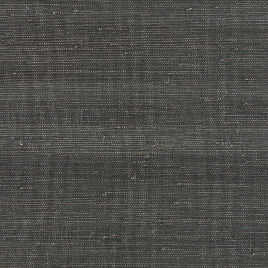 Scalamandre: Textured Sisal SC 0006 WP88343 Anthracite