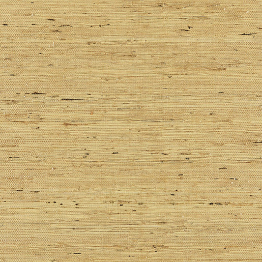 Scalamandre: Arrowroot Weave SC 0003 WP88344 Honey