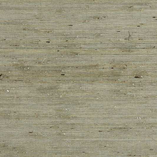 Scalamandre: Arrowroot Weave SC 0004 WP88344 Water