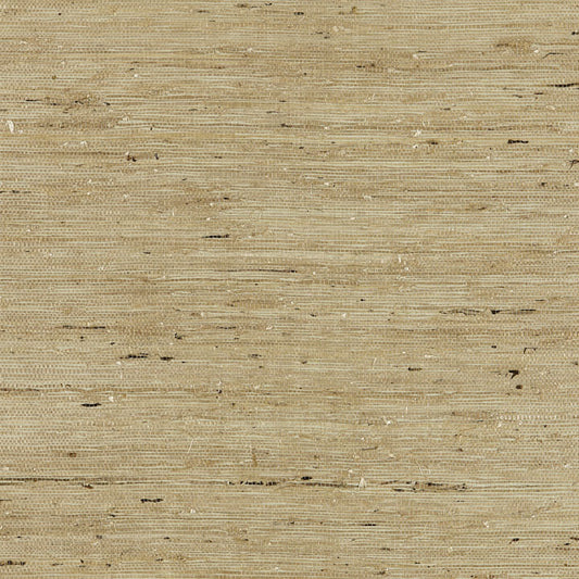 Scalamandre: Arrowroot Weave SC 0005 WP88344 Sage