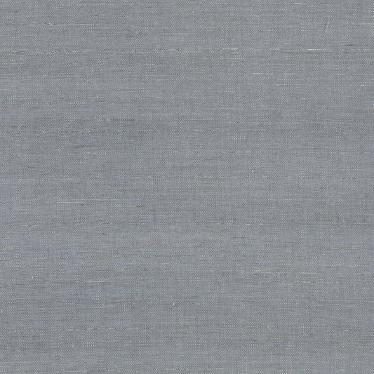 Scalamandre: Silver Sisal SC 0002 WP88349 Steel