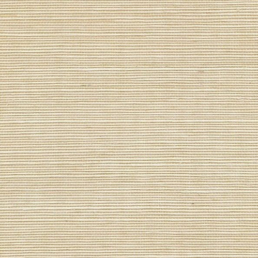 Winfield Thybony for Kravet: Sisal WP WSS4504.WT.0 Cream
