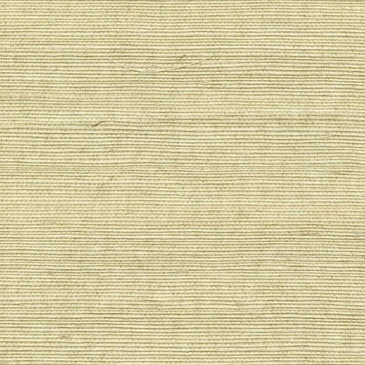 Winfield Thybony for Kravet: Sisal WP WSS4508.WT.0 Pumice