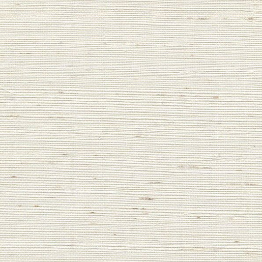 Winfield Thybony for Kravet: Sisal WP WSS4518.WT.0 Cotton