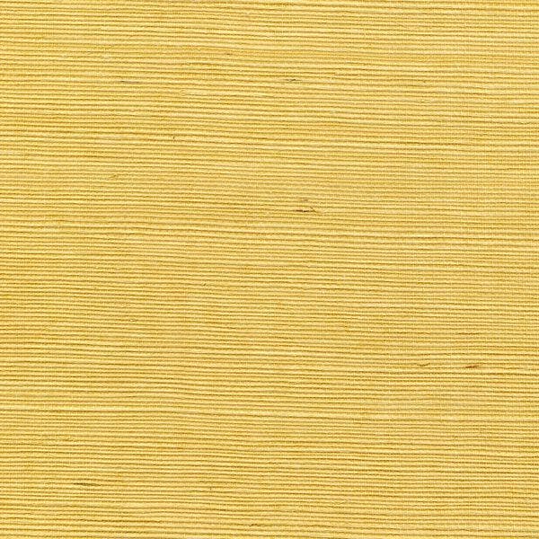 Winfield Thybony for Kravet: Sisal WP WSS4523.WT.0 Sole
