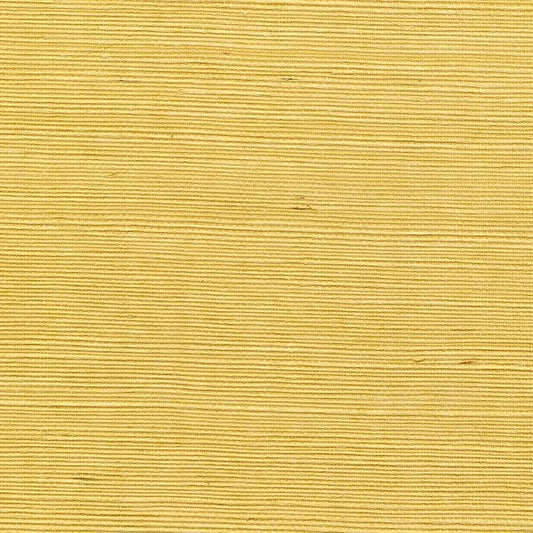 Winfield Thybony for Kravet: Sisal WP WSS4523.WT.0 Sole