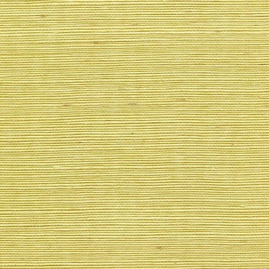 Winfield Thybony for Kravet: Sisal WP WSS4526.WT.0 Lemon Zest