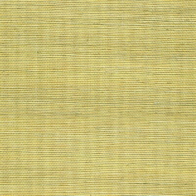 Winfield Thybony for Kravet: Metallic Sisal WP WSS4528.WT.0 Lemon Grass