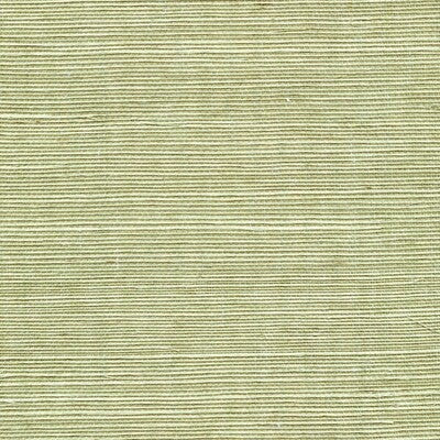 Winfield Thybony for Kravet: Sisal WP WSS4531.WT.0 Fern