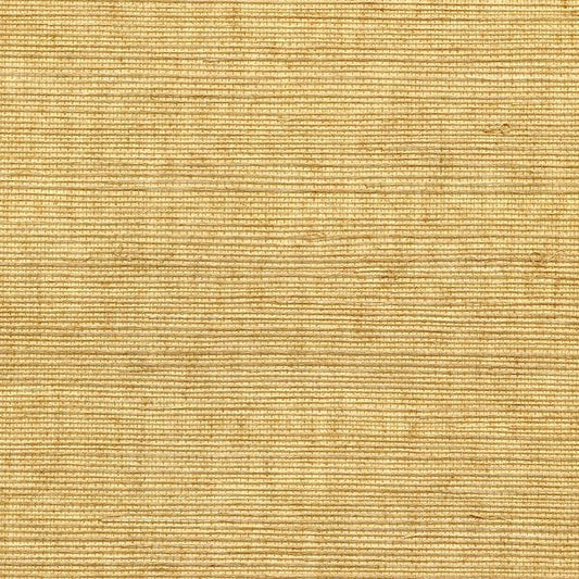 Winfield Thybony for Kravet: Sisal WP WSS4536.WT.0 Brush