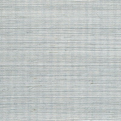 Winfield Thybony for Kravet: Metallic Sisal WP WSS4565.WT.0 Smoke