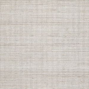 Winfield Thybony for Kravet: Metallic Sisal WP WSS4569.WT.0 Beige Breeze