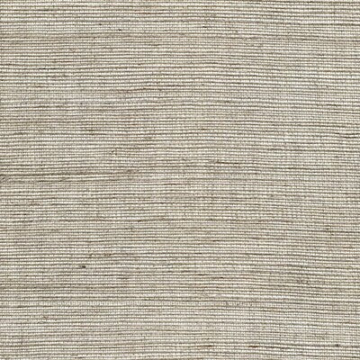 Winfield Thybony for Kravet: Metallic Sisal WP WSS4571.WT.0 Linen