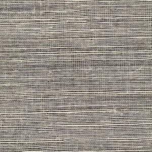 Winfield Thybony for Kravet: Metallic Sisal WP WSS4576.WT.0 Shadow