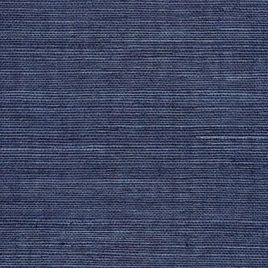 Winfield Thybony for Kravet: Sisal WP WSS4580.WT.0 Indigo