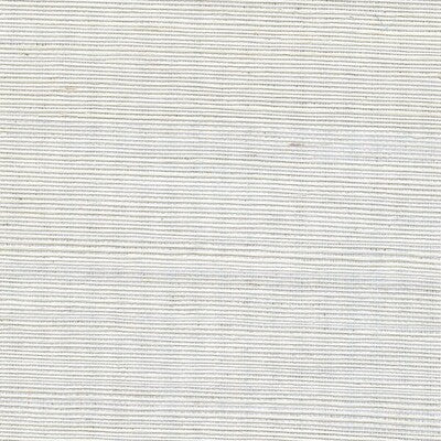 Winfield Thybony for Kravet: Metallic Sisal WP WSS4582.WT.0 Icicle