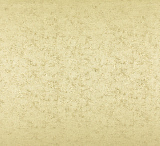 Old World Weavers for Scalamandre: Villa Regina Texture ZA 2184 VILL Pistachio