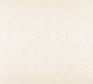 Old World Weavers for Scalamandre: Villa Regina Texture ZA 2186 VILL Ivory