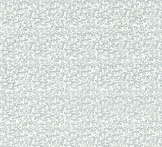 Old World Weavers for Scalamandre: Hele Bay ZS 0002 6949 Powder Blue