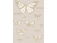 Cole & Son WP: Whimsical Butterflies & Dragonflies 103/15064.CS.0 Grey