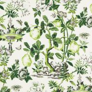 Scalamandre: Shantung Garden Cotton Print SC 0003 16583 Verdance