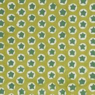 Molly Mahon for Schumacher: Tuk Tuk Hand Block Print 179223 Green