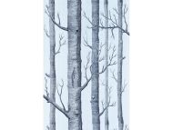 Cole & Son WP: New Contemporary Two Woods 69/12150.CS.0 Chocolate/Silver