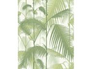 Cole & Son WP: Contemporary Restyled Palm Jungle 95/1001.CS.0 Olive, Green & White 