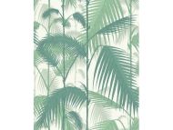 Cole & Son WP: Contemporary Restyled Palm Jungle 95/1002.CS.0 Forest Green & White