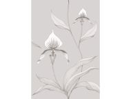 Cole & Son WP: Contemporary Restyled Orchid 95/10055.CS.0 Grey & White