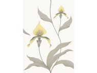 Cole & Son WP: Contemporary Restyled Orchid 95/10057.CS.0 Yellow & White