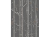 Cole & Son WP: Contemporary Restyled Woods & Pears 95/5031.CS.0 Gold/Silver/Black